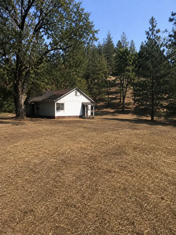 Cleared defensible space after brush removal